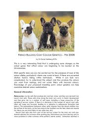They have a solid coat with the signature eggshell color seen in the base of the though they're not as popular as the brindle or pied, the fawn frenchie is still a very attractive french bulldog. French Bulldog Coat Colour Genetics