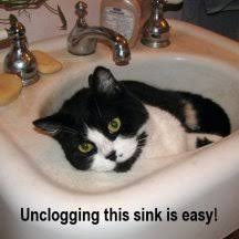 clogged bathroom sink drain make your