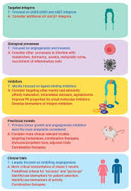 In the united states, the likelihood of dying from cancer has dropped steadily since the 1990s. Cancers Free Full Text Are Integrins Still Practicable Targets For Anti Cancer Therapy Html