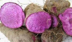 Fresh Yam - UBE Filipino Purple yam
