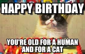 4.5 out of 5 stars. 58 Grumpy Cat Birthday Wishes
