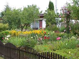 Gartenfreunde & gartenfreude für rostock. Rostock Stadtgartenlabor Rostocks Sudstadt Wird Bunter