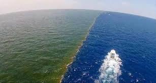 Where The Mississippi River Meets The Gulf Of Mexico In 2020 Two Oceans Meet Gulf Of Mexico Mississippi River