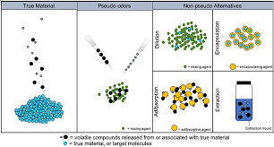 While the dataset is effectively. Frontiers A Review Of The Types Of Training Aids Used For Canine Detection Training Veterinary Science