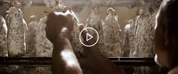 Mont Charvin Salaisons Charcutier Passionne Charcuteries D Exception