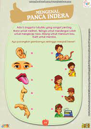 Check spelling or type a new query. Mengenal Panca Indera Ebook Anak