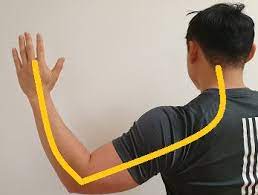 Exercises For A Pinched Nerve In The Neck Posture Direct