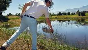 Image result