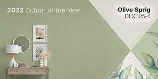 Dulux 2025 Paint Colour Palette