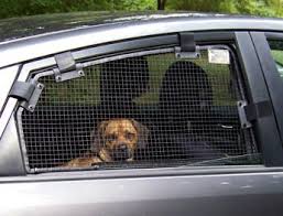 Buy Breezeguard Metal Screens For Car Windows Keeps Dogs Cool Safe Dog Window Dog Backyard Outside Dogs
