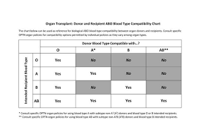 free printable blood type compatibility charts donar