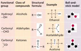 Chemistry Ii Water And Organic Molecules