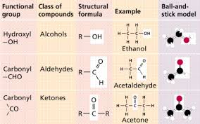 chemistry ii water and organic molecules