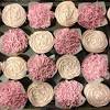 Donoter 48 pcs glitter bride to be cupcake toppers diamond ring wedding dress cupcake picks for wedding engagement bridal shower party decorations 4.8 out of 5 stars 261 $9.99 $ 9. 1