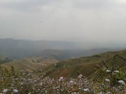 July 03, 2021 obyek wisata kebun teh majalengka cipasung terletak di desa cipasung kecamatan lemah sugih, sekitar 52 km atau 2 jam berkendara dari pusat kota majalengka ke sebelah selatan. Infomjlk Referensi Informasi Dan Wisata Majalengka Laman 10