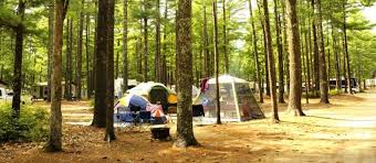 Maybe you would like to learn more about one of these? Gateway To Cape Cod Rv Campground 3 Photos 1 Reviews Rochester