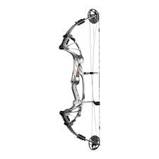 hoyt prevail elite fx compound bow svx cam