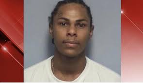 What was the gunfire in Williamston last evening?