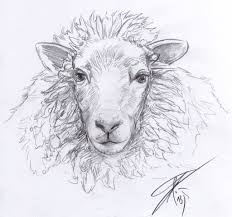 Sheep Sketch By Atharidrawer On Deviantart Sheep Drawing Sheep Art Sheep Paintings