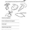 Maths worksheet for class 3; 1