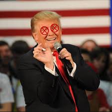 Image result for Trumpistan Today