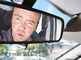 Century-old pepper tree boughing out at Hobart's Royal Tasmanian Botanical  Gardens