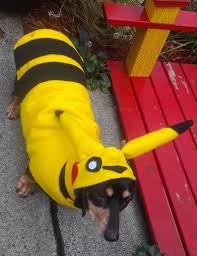 Pic A Chu Poke A Mon Costume Halloween Costume Dog Costume Cat Costume Pet Costume Costume Contest Winner Hoilday Costume Pet Dog Cat