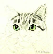 Bleistiftzeichnung Portrait Cat Drawing Eyes Realistic Skill Cat Eyes Drawing Realistic Drawing Ski In 2020 Cat Eyes Drawing Realistic Drawings Animal Drawings