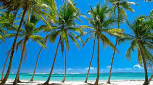 You will find here the best travel deals and vacation packages to martinique. Car Hire Martinique Book A Car In Advance And Save Money Addcar Rental