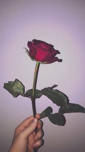 We did not find results for: Aesthetic Rose Ipad Wallpaper Novocom Top