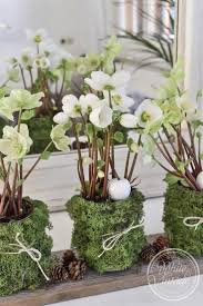 Suling Laing Following On Pinterest Wintergardening Winterdeko Mit Christrose Christrose Laing Mit In 2020 Winter Decorations Diy Winter Decor Christmas Garden