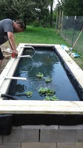 Fish ponds or water gardens can be a great addition to your backyard. Above Ground Pond Koi Forum 414140
