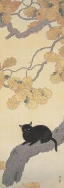 Rumble / cats & kittens — black cats have consistently played an important role in folklore and superstition throughout history in the middle ages, black cats were believed to be the evil, supernatural servant of witches, sent by the devil himself. The Truth About Cats And Artists The Artifice