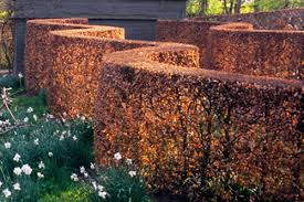 Parasoliel panels are the hottest garden trend this summer! Instant Design Designing With Hedges Ideas And Inspiration