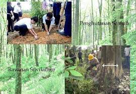 Konsep Pembangun Alam Sekitar 2018