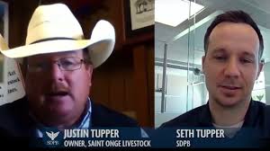 Insight On COVID Trouble In The Cattle Business, From My Brother