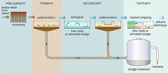 Understanding Water Quality 5 1 Sewage Treatment Processes