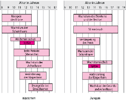 Eine sorgfältige ernährung und haltung ist hier am wichtigsten. Korperliches Wachstum Und Geschlechtsreife Bei Jugendlichen Gesundheitsprobleme Von Kindern Msd Manual Ausgabe Fur Patienten