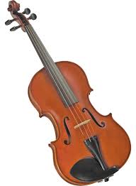 Image result for Viola