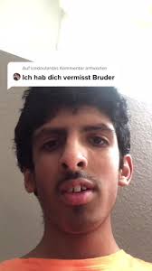 Bulldogge Ice Vemisst