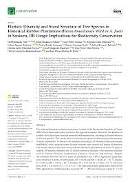 Image result for Pachylobus osika