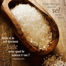 La Bible Versets Illustrees Matthieu 5 13 C Est Vous Qui Etes Le Sel De La Terre Mais Si Le Sel Devient Fade Avec Qu Versets Le Sel De La Terre La Bible