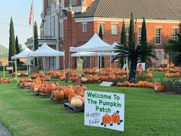 Peter's parish is to know, love and serve god, by spreading the gospel through liturgy, service and education, in communion with the universal church. St Peter S Catholic Church To Hold Pumpkin Patch Throughout October Local News Stories Iberianet Com