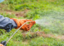 If the pests get one up on you then you really should contact a professional pest control company for help. Commercial Pest Control In Southern California Eco Friendly Solutions