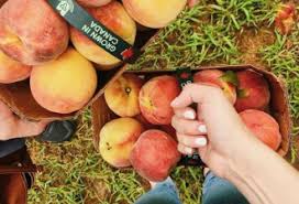 只剩1个月免费巴士接送你去红河谷国家公园_无忧资讯