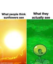 Peashooter protecc : rmemes