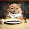 Chulan dinnerware sets for kids, bone china dinnerware sets for 1 person, dish set with black cats in christmas, elegant tableware (dinner plate, salad plate, cereal bowl, coffee mug) $49.99. 1