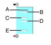 This Is An Animation Of Gel Electrophoresis Which Of These Dna Molecules Is The Shortest Brainly Com
