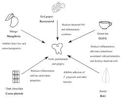 Oseo bones, and i'm a pervert. Molecules July 2018 Browse Articles