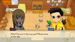 If you are getting broken/file missing/dead. Story Of Seasons Friends Of Mineral Town Xseed Games Store